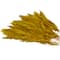 Dried Plant Pampas Natural Foliage with Long Stems